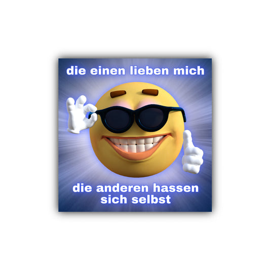 "die einen lieben mich die anderen hassen sich selbst" Sticker