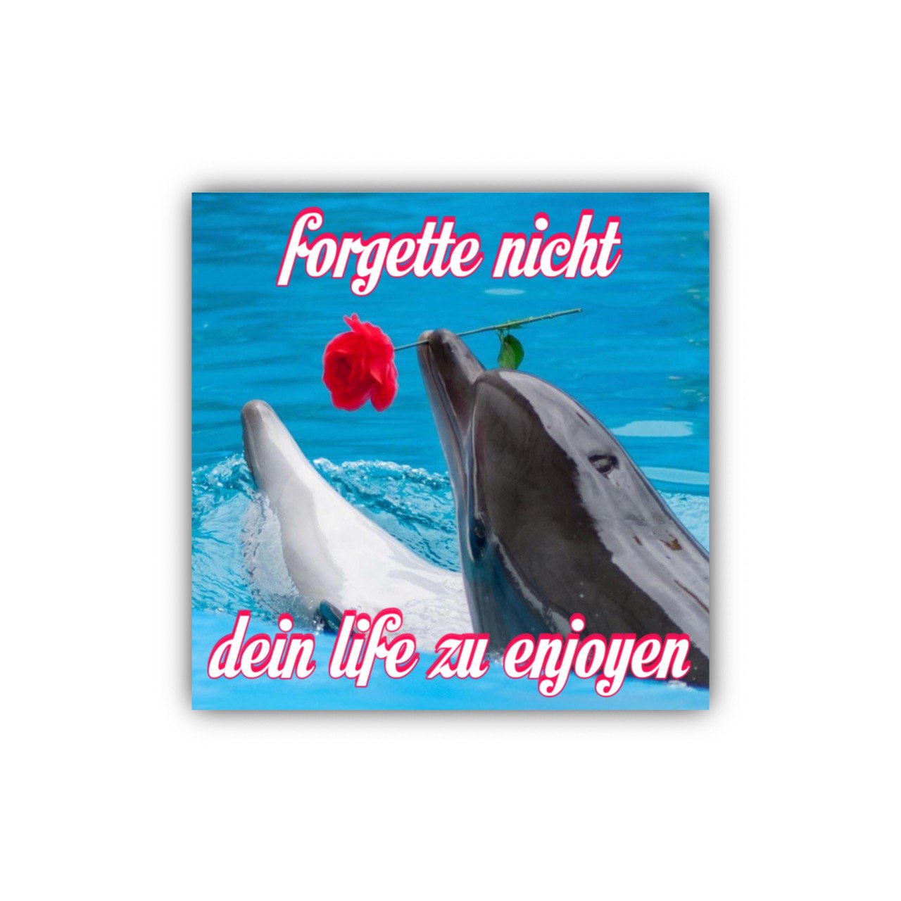 "forgette nicht dein life zu enjoyen" Sticker